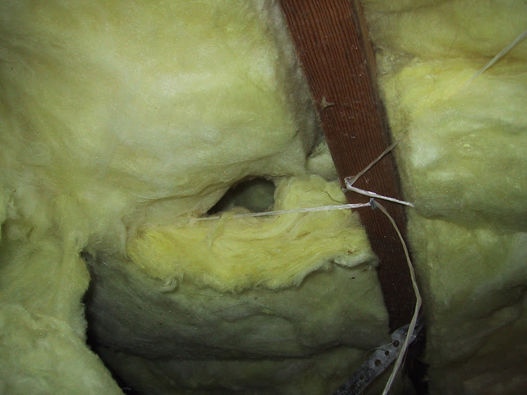 Rat hole in fiberglass insulation.