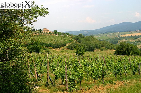 [ilchianti.jpg]