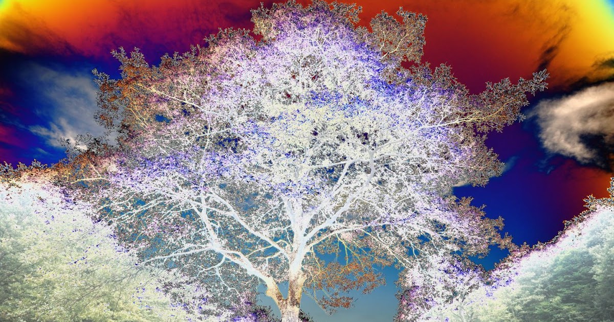 Albero Del Bene E Del Male orquatocodi: L'albero del bene e del male