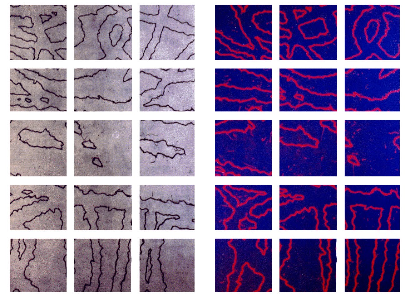 [Abstract_comic_podos_Brandl.jpg]