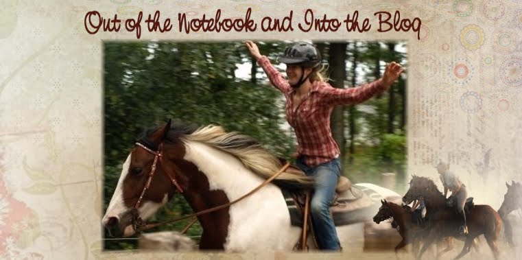 Out of the Notebook and into the blog