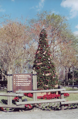 These photographs were taken by...