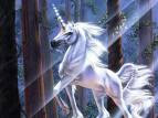 Al BAR del Regno - Pagina 13 Unicorno+magico