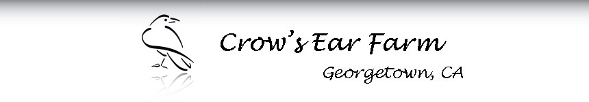 Crow's Ear Farm