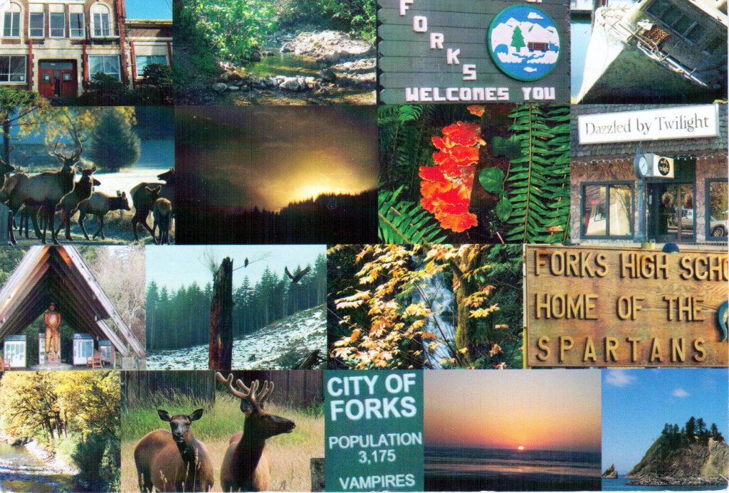 Forks, Washington