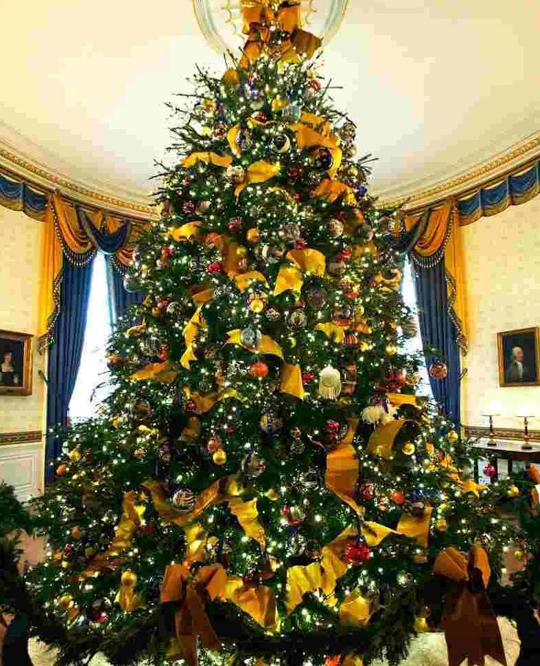 Foothills Landscape Maintenance Northern Colorado Fort Collins