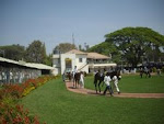 Paddock of Bangalore Race-Course(2008)