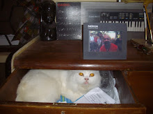 In the house drawer(Thursday 26-11-2009)