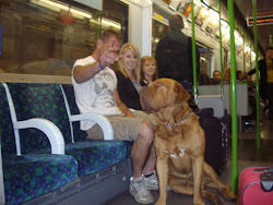 A massive "Dogue de Bordeaux(French Mastiff)" with its owners in a "London Tube".