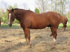 Barney Noodles - Past away December of 2011 at age 29,  Rest in peace old Friend