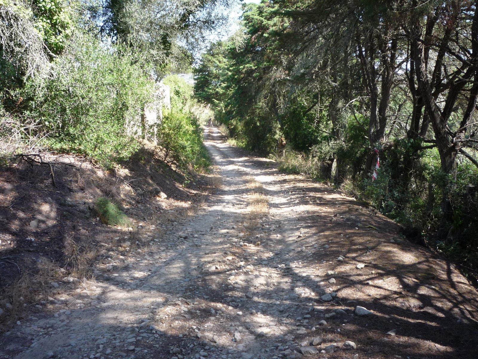 [P1000417.JPG]