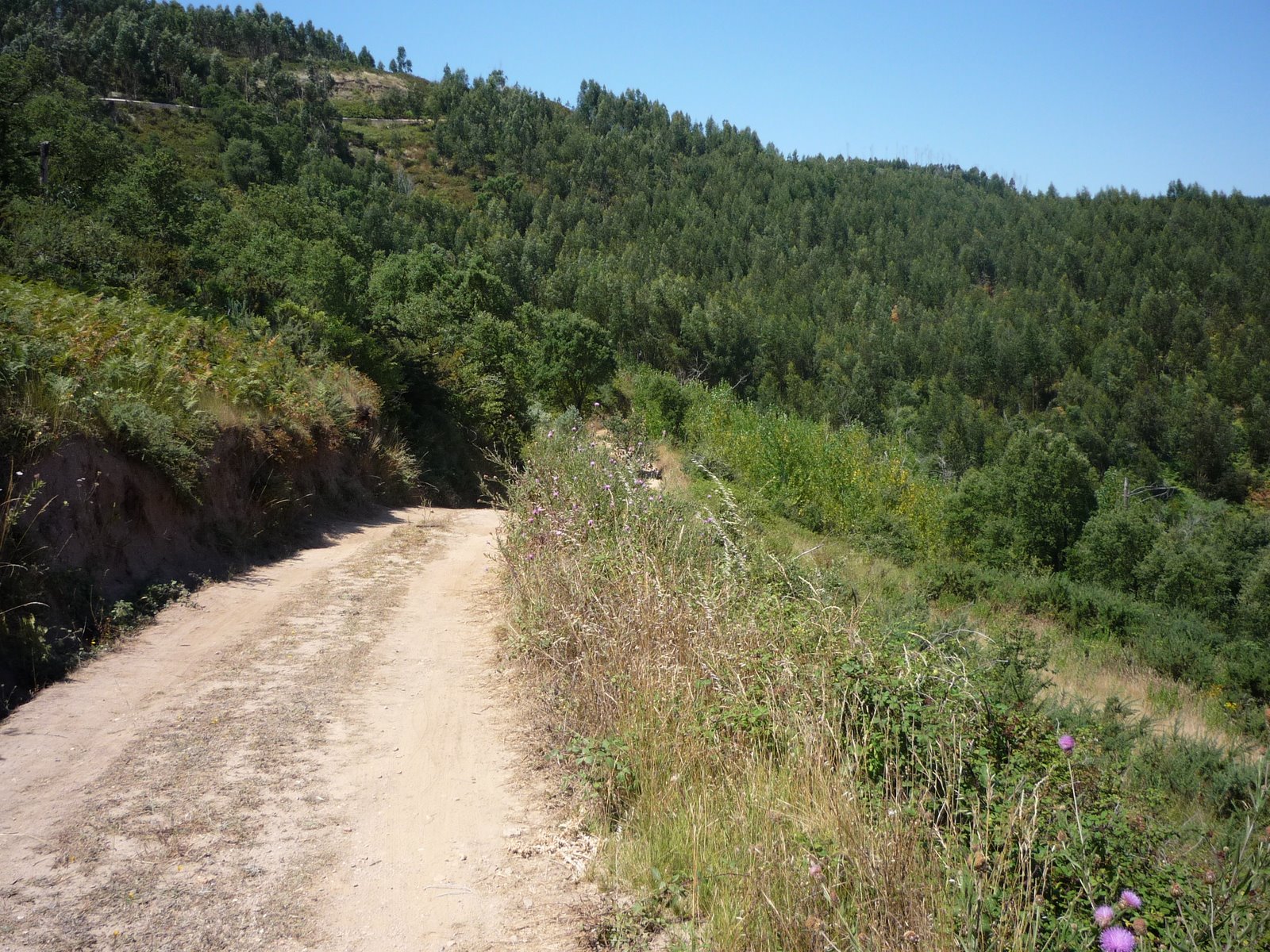[P1000430.JPG]