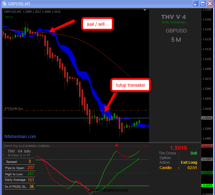 branch system trading adalah