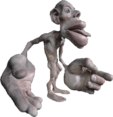 Where is most of our sensory