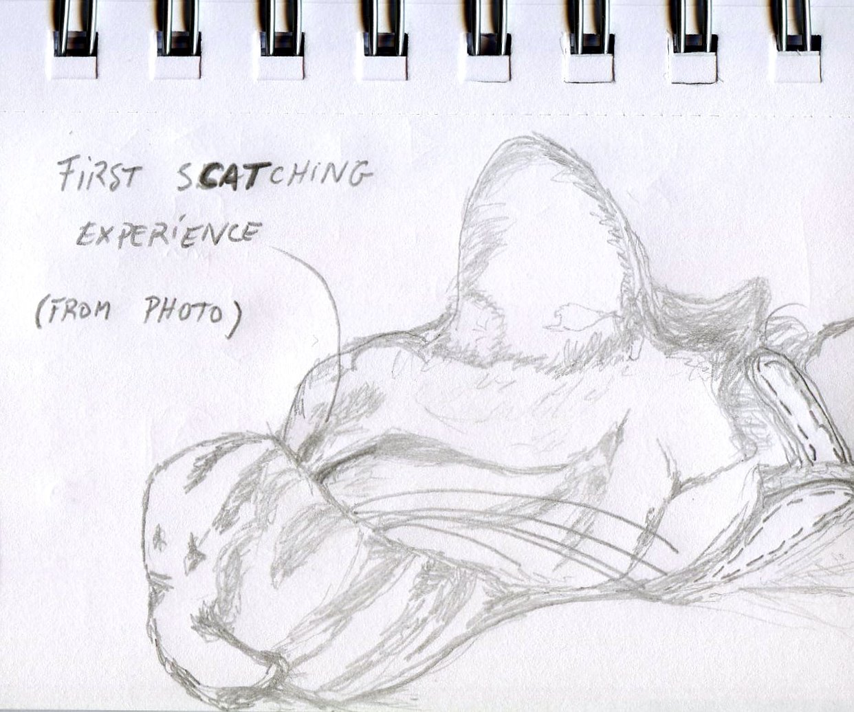 [first+scatching+experience.JPG]