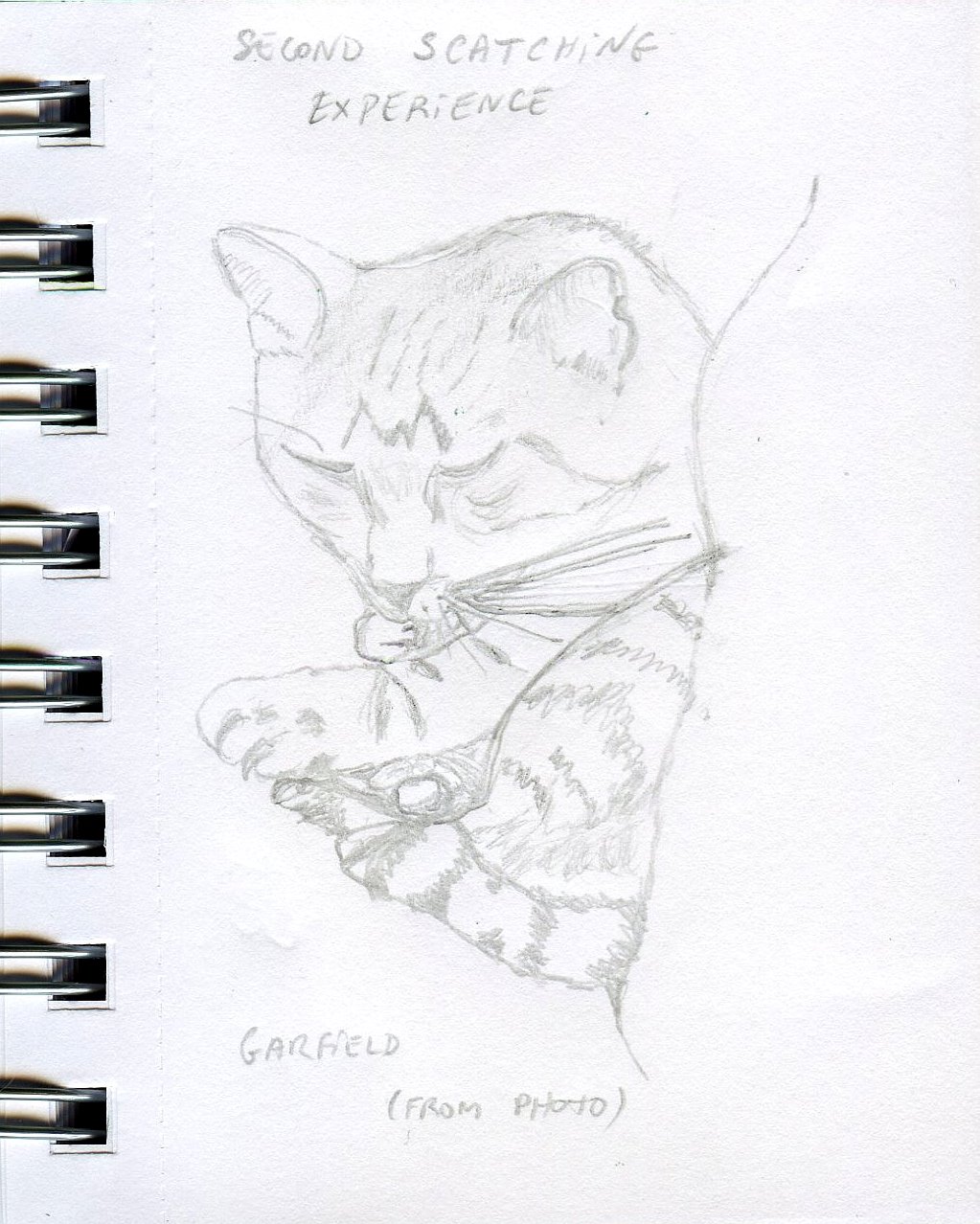 [2nd+scatching+experience.JPG]