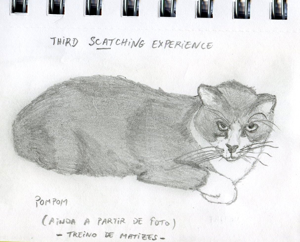 [3rd+scatching+experience.JPG]