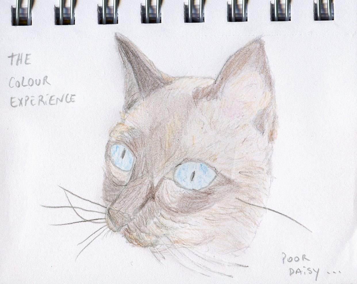 [scatching+colour.JPG]