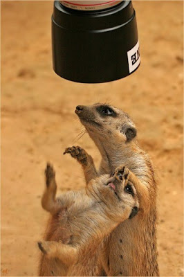 Adobe photoshop 8 free. download full version for windows 10 Adobe photoshop 8 free. download full version for windows 10