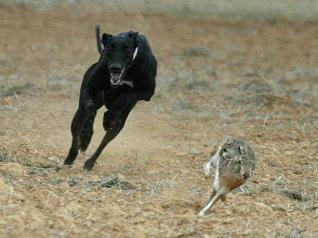 tantra rencontre france