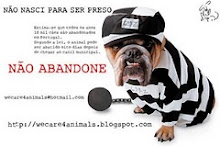 NÃO ABANDONE!