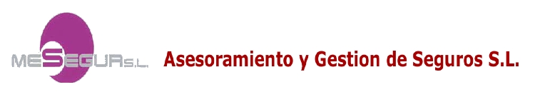 Mesegur Asesoramiento Y Gestion De Seguros S.L.