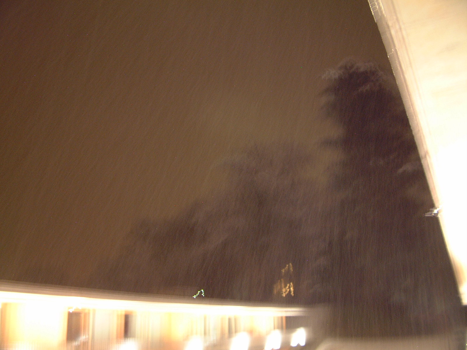 [DSCF1041.JPG]