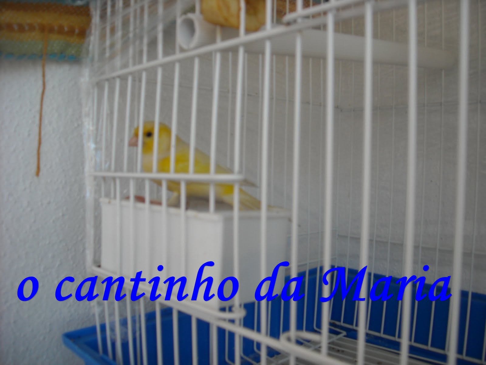 [DSCN0703.JPG]