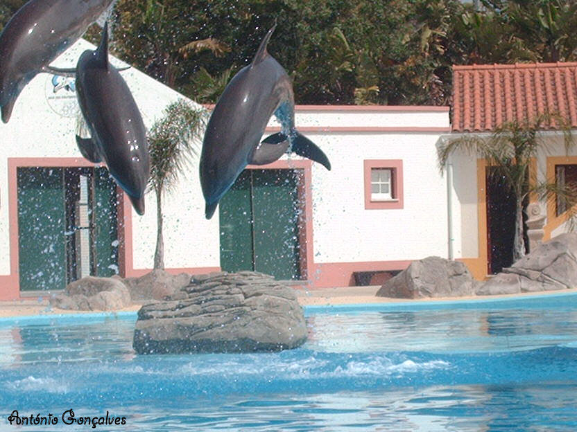 [ZooLisb032.jpg]