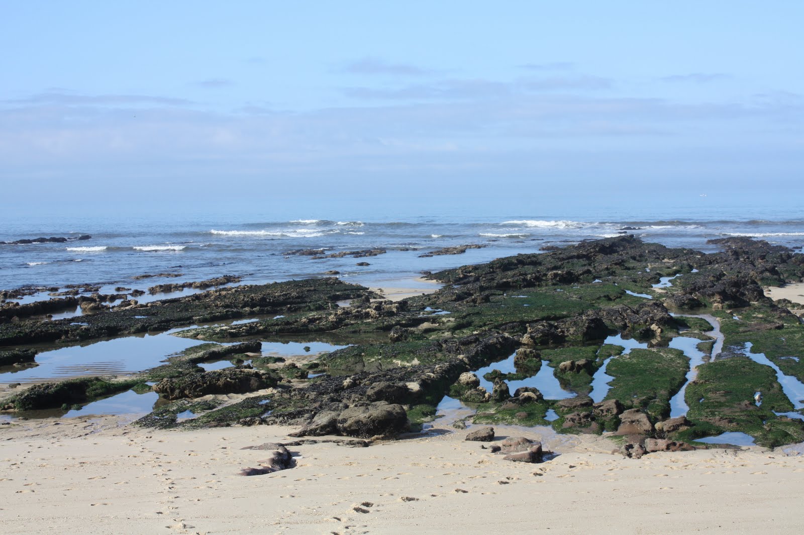[Praia+de+manhã+001.JPG]