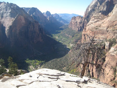 View from the top of Angels Landing in Zion National Park