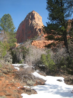 Middle Taylor Creek Hike Zion National Park Kolob fingers.