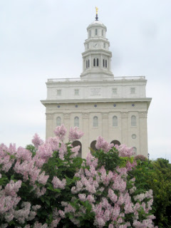 Photo of Nauvoo Temple by Roland Lee