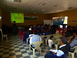 FACILITANDO PpR DE LA PROVINCIA DE YAUYOS