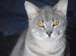 Our Adopted Daugther, Lil' Miss