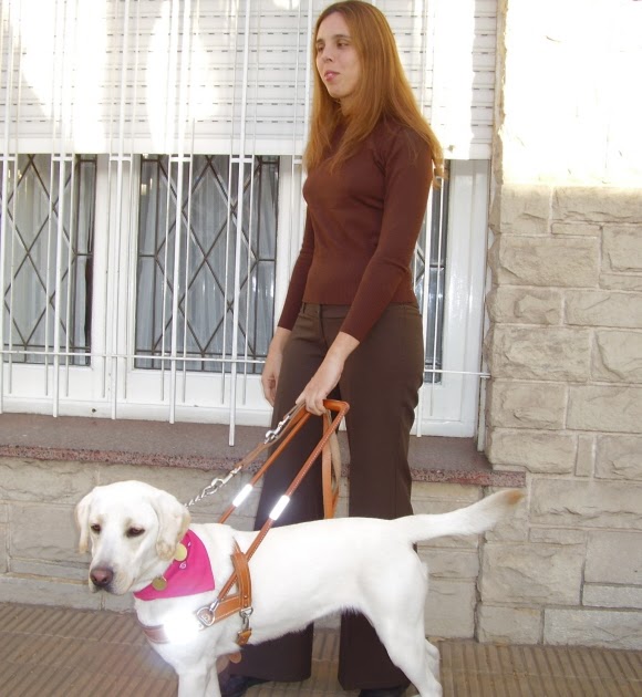 DATO SOBRE PERRO dato sobre perro: