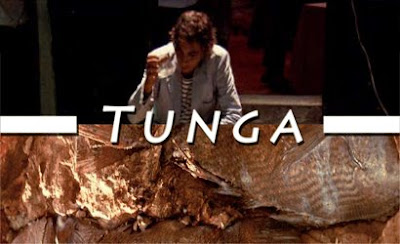 Tunga