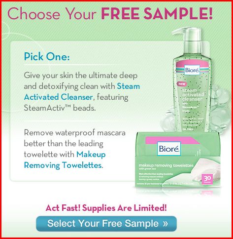 Free Sample Biore' Steam Cleanser or Makeup Towelettes-Expired Free Sample Biore' Steam Cleanser or Makeup Towelettes-Expired