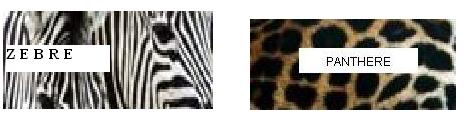[Pant_zebre.JPG]