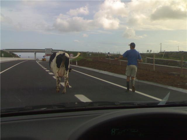 [GetAttachment.aspx.jpg]