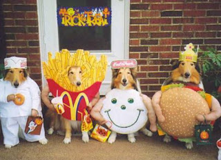 funny pets halloween costumes dogs