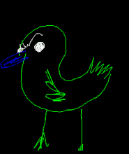 Pato 1