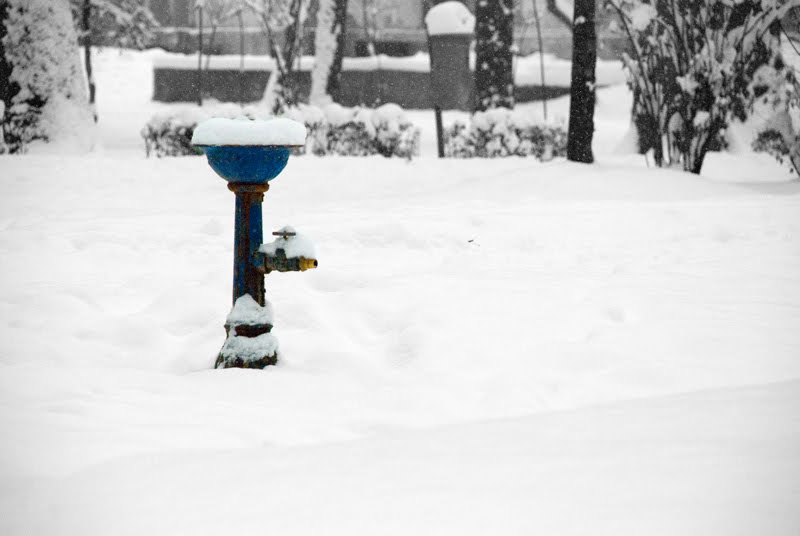 [DSC_0004_small.jpg]