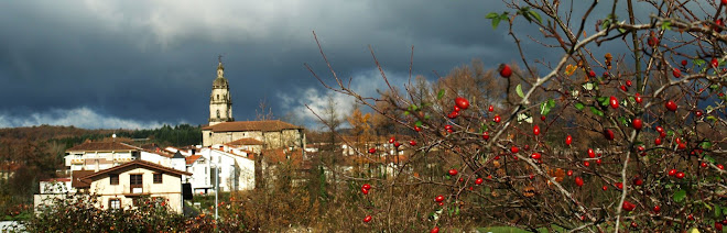 MAINONDO GURASO ELKARTEA. OTXANDIO (BIZKAIA)