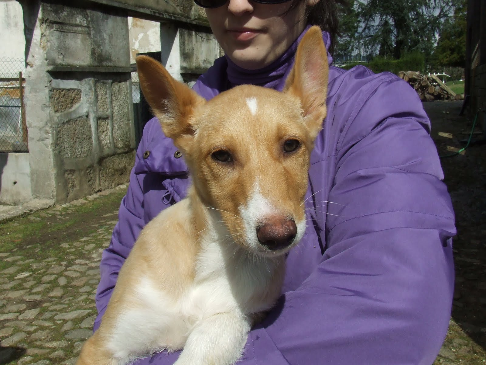 [2010_03210033.JPG]