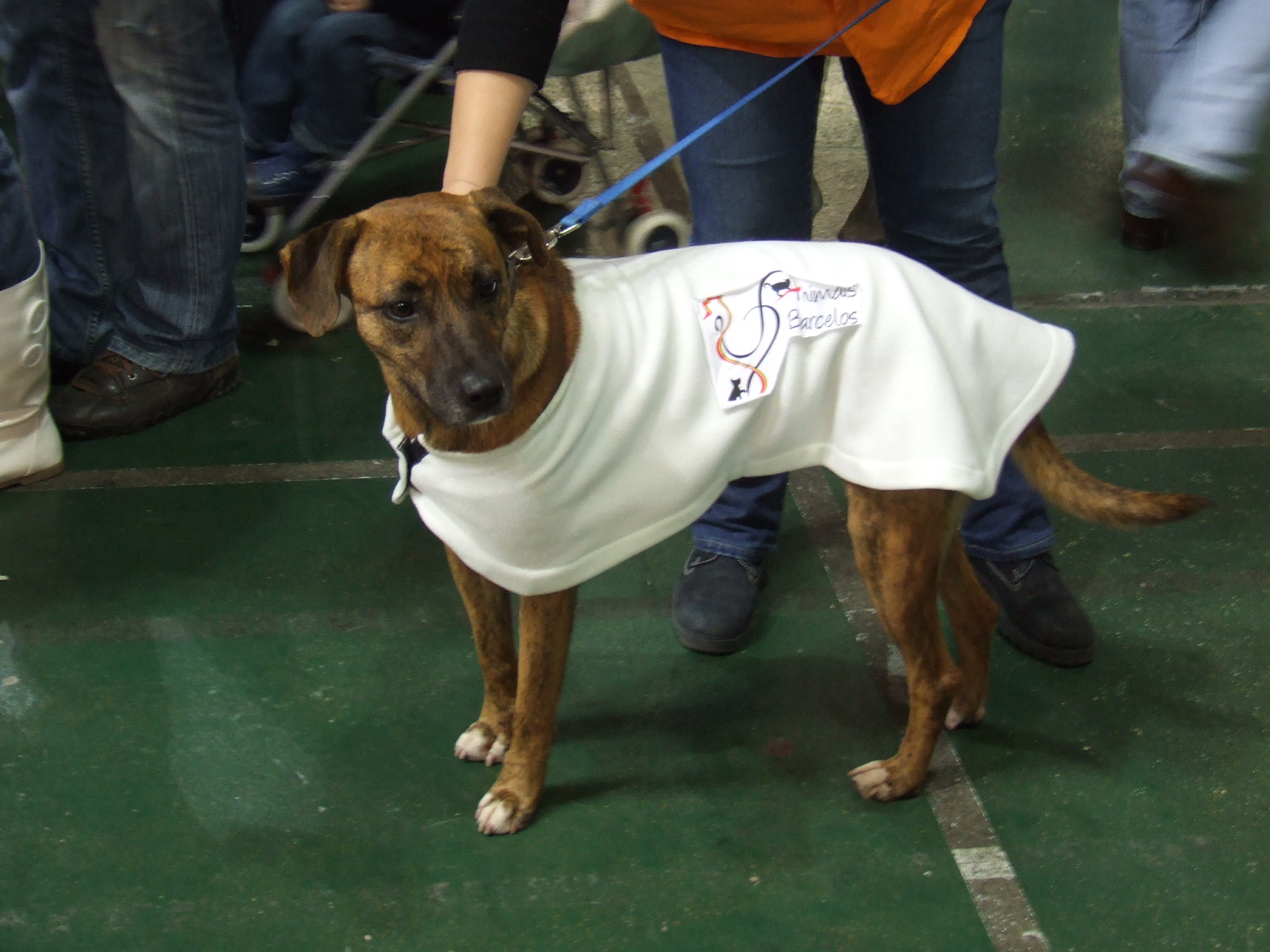 [2008_11160042.JPG]