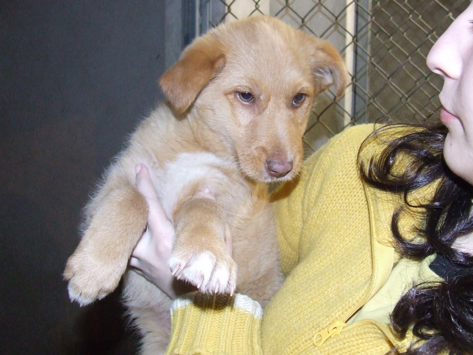 [2009_02140012.JPG]