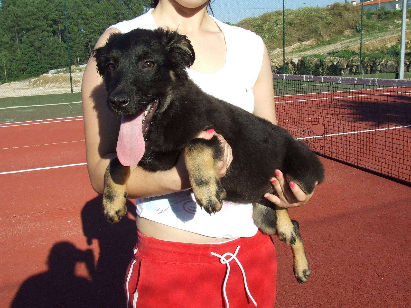 [2009_06120125.JPG]