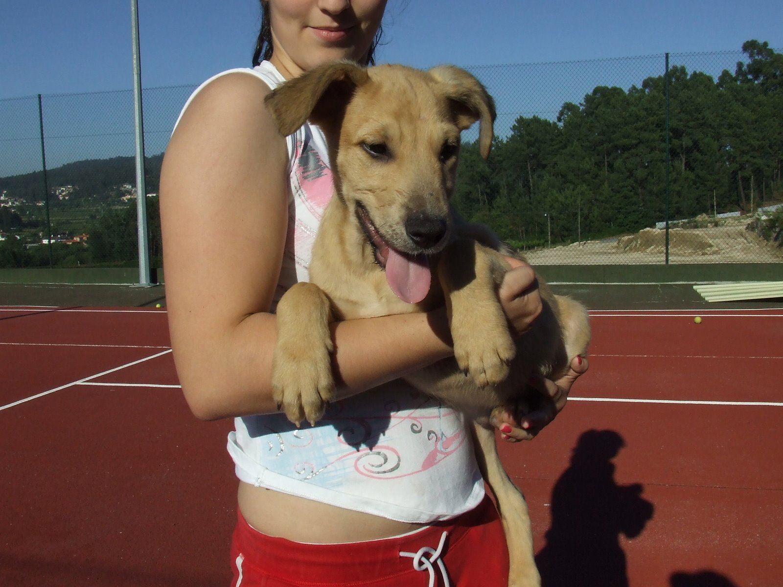 [2009_06120128.JPG]
