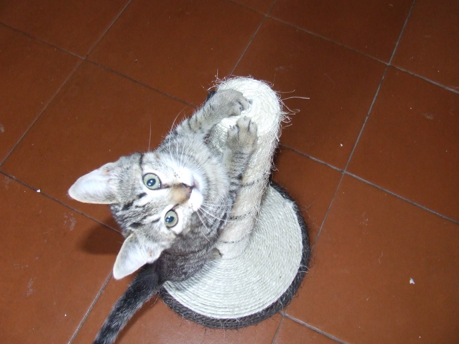 [2009_07090071.JPG]